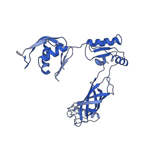 30335_7cbl_l_v1-2
Cryo-EM structure of the flagellar LP ring from Salmonella