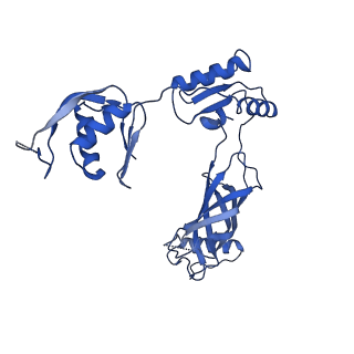 30335_7cbl_m_v1-2
Cryo-EM structure of the flagellar LP ring from Salmonella