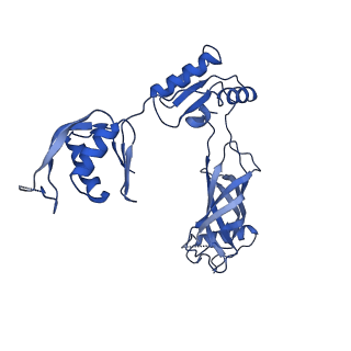 30335_7cbl_n_v1-2
Cryo-EM structure of the flagellar LP ring from Salmonella