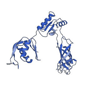 30335_7cbl_o_v1-2
Cryo-EM structure of the flagellar LP ring from Salmonella