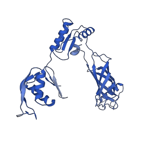 30335_7cbl_p_v1-2
Cryo-EM structure of the flagellar LP ring from Salmonella