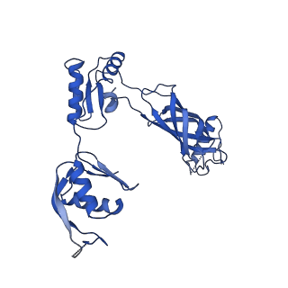 30335_7cbl_r_v1-2
Cryo-EM structure of the flagellar LP ring from Salmonella