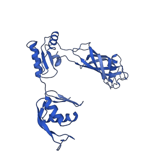 30335_7cbl_s_v1-2
Cryo-EM structure of the flagellar LP ring from Salmonella