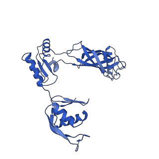 30335_7cbl_t_v1-2
Cryo-EM structure of the flagellar LP ring from Salmonella