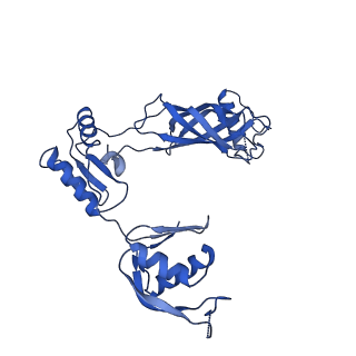 30335_7cbl_u_v1-2
Cryo-EM structure of the flagellar LP ring from Salmonella