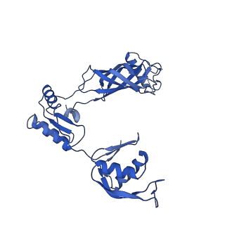 30335_7cbl_v_v1-2
Cryo-EM structure of the flagellar LP ring from Salmonella