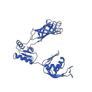 30335_7cbl_w_v1-2
Cryo-EM structure of the flagellar LP ring from Salmonella
