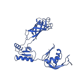 30335_7cbl_x_v1-2
Cryo-EM structure of the flagellar LP ring from Salmonella