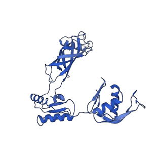 30335_7cbl_y_v1-2
Cryo-EM structure of the flagellar LP ring from Salmonella