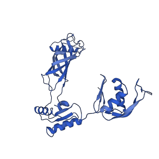 30335_7cbl_z_v1-2
Cryo-EM structure of the flagellar LP ring from Salmonella