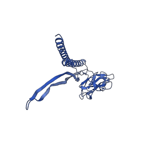 30336_7cbm_A_v1-2
Cryo-EM structure of the flagellar distal rod with partial hook from Salmonella