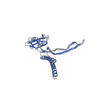 30336_7cbm_C_v1-2
Cryo-EM structure of the flagellar distal rod with partial hook from Salmonella