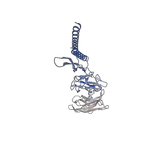 30336_7cbm_DB_v1-2
Cryo-EM structure of the flagellar distal rod with partial hook from Salmonella