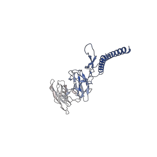 30336_7cbm_DC_v1-2
Cryo-EM structure of the flagellar distal rod with partial hook from Salmonella