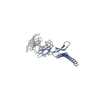 30336_7cbm_DD_v1-2
Cryo-EM structure of the flagellar distal rod with partial hook from Salmonella