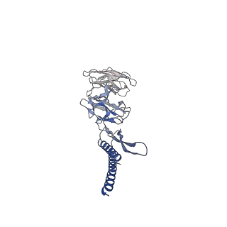 30336_7cbm_DE_v1-2
Cryo-EM structure of the flagellar distal rod with partial hook from Salmonella