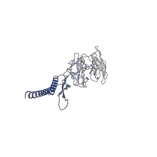 30336_7cbm_DF_v1-2
Cryo-EM structure of the flagellar distal rod with partial hook from Salmonella