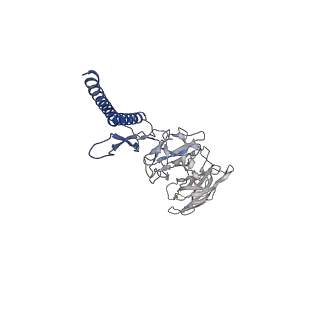 30336_7cbm_DG_v1-2
Cryo-EM structure of the flagellar distal rod with partial hook from Salmonella