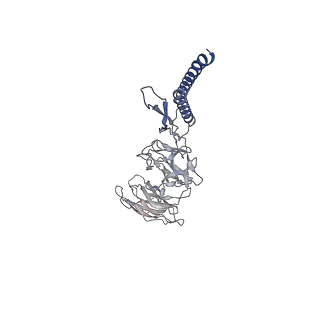 30336_7cbm_DH_v1-2
Cryo-EM structure of the flagellar distal rod with partial hook from Salmonella