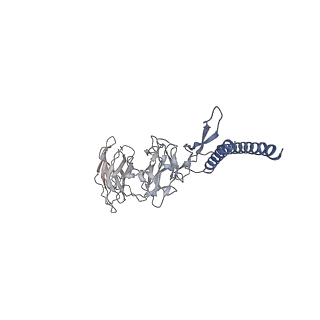 30336_7cbm_DI_v1-2
Cryo-EM structure of the flagellar distal rod with partial hook from Salmonella