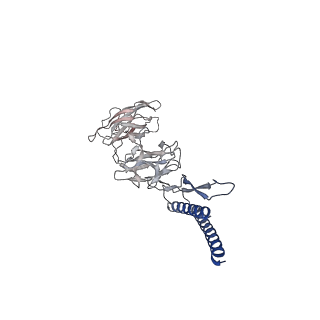 30336_7cbm_DJ_v1-2
Cryo-EM structure of the flagellar distal rod with partial hook from Salmonella