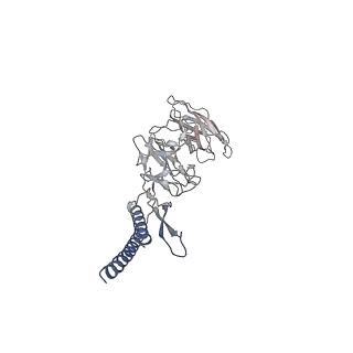 30336_7cbm_DK_v1-2
Cryo-EM structure of the flagellar distal rod with partial hook from Salmonella
