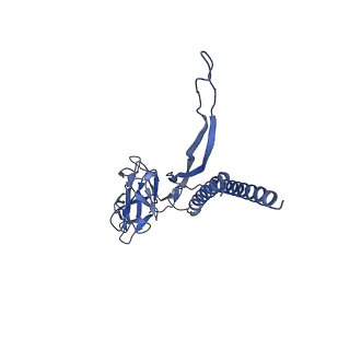 30336_7cbm_D_v1-2
Cryo-EM structure of the flagellar distal rod with partial hook from Salmonella
