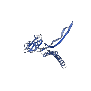 30336_7cbm_H_v1-2
Cryo-EM structure of the flagellar distal rod with partial hook from Salmonella