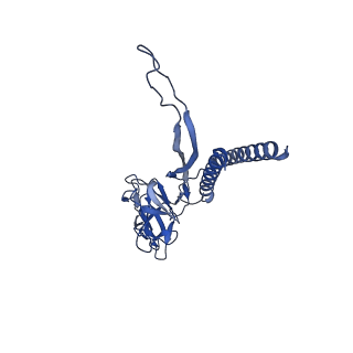 30336_7cbm_I_v1-2
Cryo-EM structure of the flagellar distal rod with partial hook from Salmonella