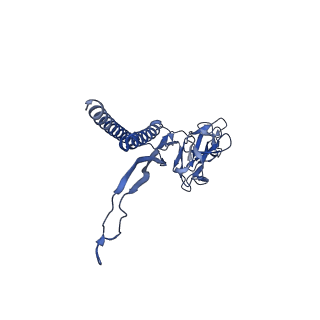 30336_7cbm_K_v1-2
Cryo-EM structure of the flagellar distal rod with partial hook from Salmonella