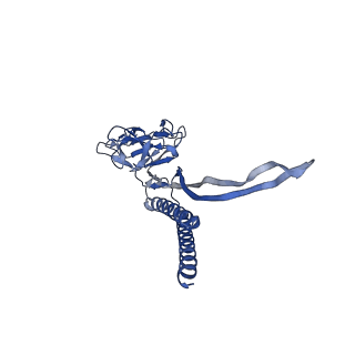 30336_7cbm_M_v1-2
Cryo-EM structure of the flagellar distal rod with partial hook from Salmonella