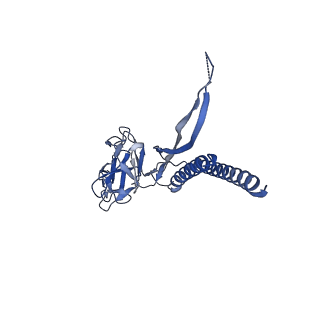 30336_7cbm_N_v1-2
Cryo-EM structure of the flagellar distal rod with partial hook from Salmonella