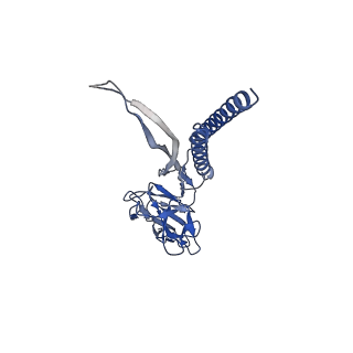 30336_7cbm_O_v1-2
Cryo-EM structure of the flagellar distal rod with partial hook from Salmonella