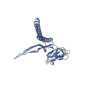 30336_7cbm_P_v1-2
Cryo-EM structure of the flagellar distal rod with partial hook from Salmonella