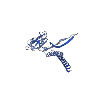 30336_7cbm_S_v1-2
Cryo-EM structure of the flagellar distal rod with partial hook from Salmonella