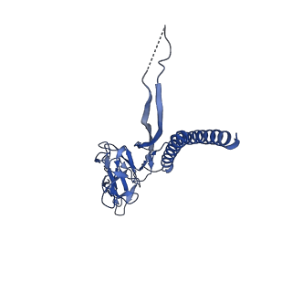 30336_7cbm_T_v1-2
Cryo-EM structure of the flagellar distal rod with partial hook from Salmonella