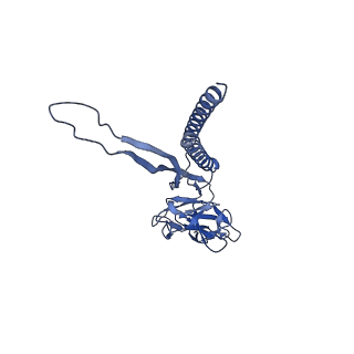 30336_7cbm_U_v1-2
Cryo-EM structure of the flagellar distal rod with partial hook from Salmonella