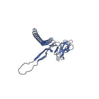 30336_7cbm_V_v1-2
Cryo-EM structure of the flagellar distal rod with partial hook from Salmonella