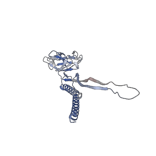 30336_7cbm_X_v1-2
Cryo-EM structure of the flagellar distal rod with partial hook from Salmonella