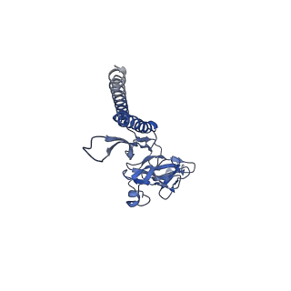 30336_7cbm_a_v1-2
Cryo-EM structure of the flagellar distal rod with partial hook from Salmonella