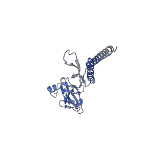 30336_7cbm_c_v1-2
Cryo-EM structure of the flagellar distal rod with partial hook from Salmonella