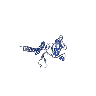 30336_7cbm_d_v1-2
Cryo-EM structure of the flagellar distal rod with partial hook from Salmonella