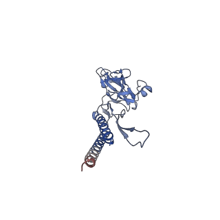 30336_7cbm_e_v1-2
Cryo-EM structure of the flagellar distal rod with partial hook from Salmonella