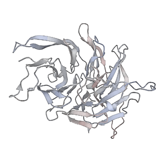 7445_6cb1_A_v1-3
Yeast nucleolar pre-60S ribosomal subunit (state 3)