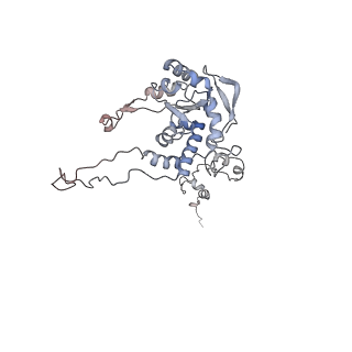 7445_6cb1_C_v1-3
Yeast nucleolar pre-60S ribosomal subunit (state 3)