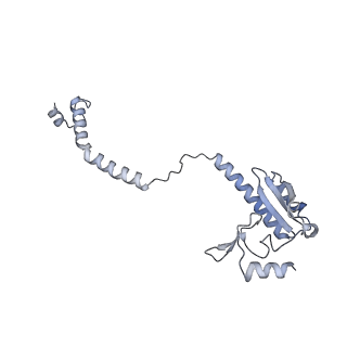 7445_6cb1_D_v1-3
Yeast nucleolar pre-60S ribosomal subunit (state 3)