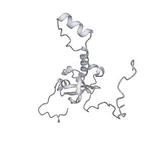 7445_6cb1_E_v1-3
Yeast nucleolar pre-60S ribosomal subunit (state 3)