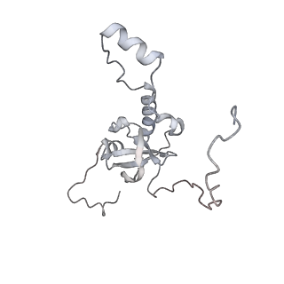 7445_6cb1_E_v1-4
Yeast nucleolar pre-60S ribosomal subunit (state 3)