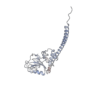7445_6cb1_F_v1-3
Yeast nucleolar pre-60S ribosomal subunit (state 3)