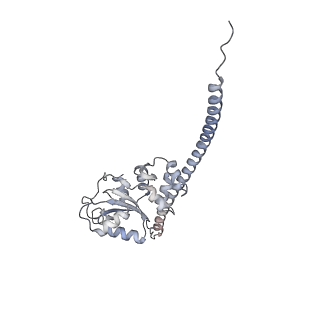 7445_6cb1_F_v1-4
Yeast nucleolar pre-60S ribosomal subunit (state 3)